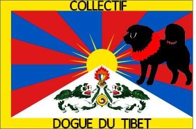 de la Tsaparang Valley - Collectif Dogue du Tibet