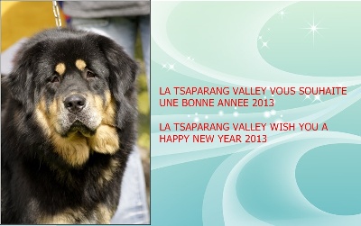 de la Tsaparang Valley - Au revoir 2012