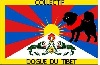  - Collectif Dogue du Tibet